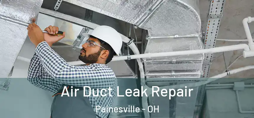 Air Duct Leak Repair Painesville - OH