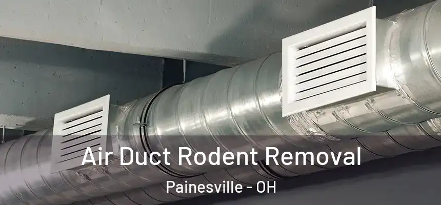  Air Duct Rodent Removal Painesville - OH