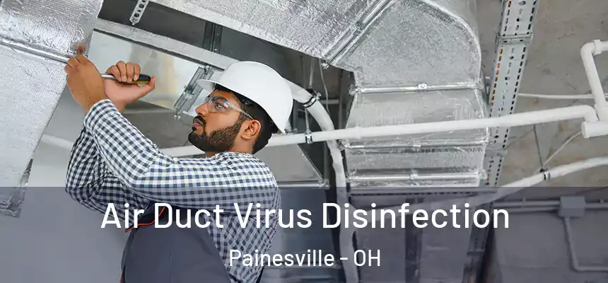  Air Duct Virus Disinfection Painesville - OH