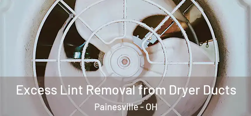 Excess Lint Removal from Dryer Ducts Painesville - OH