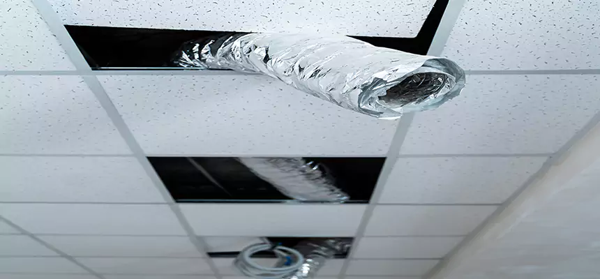 Affordable HVAC Sanitizing After Pest Removal in Painesville