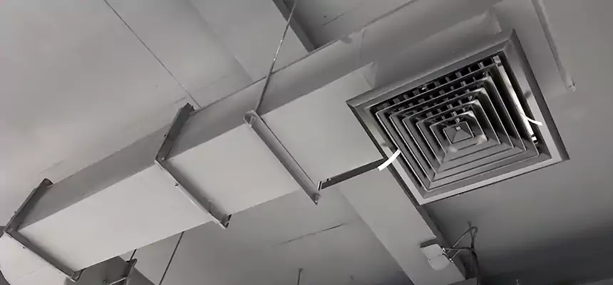 Our Pest Removal From Ducts Services in Painesville, OH