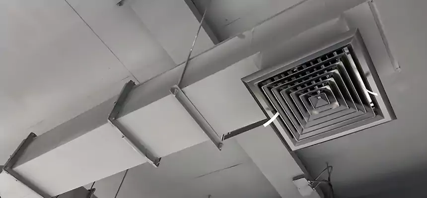 Our Rodent Droppings In Vents Services in Painesville, OH