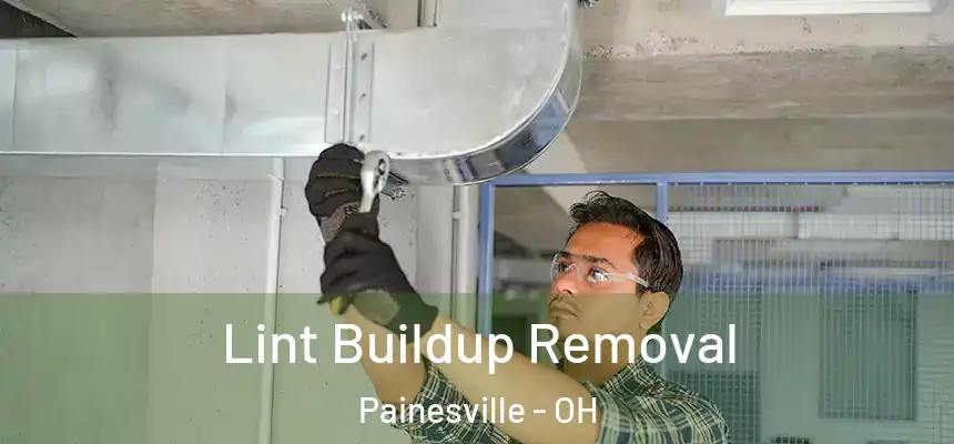  Lint Buildup Removal Painesville - OH