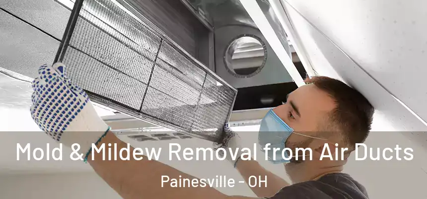  Mold & Mildew Removal from Air Ducts Painesville - OH