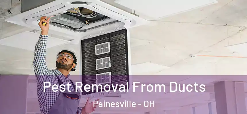  Pest Removal From Ducts Painesville - OH