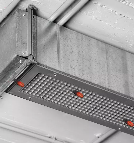 Affordable Insect Removal from Air Ducts in Painesville, OH