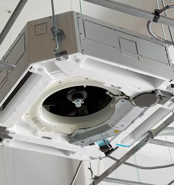 Professional Roof Vent Lint Removal Painesville, OH