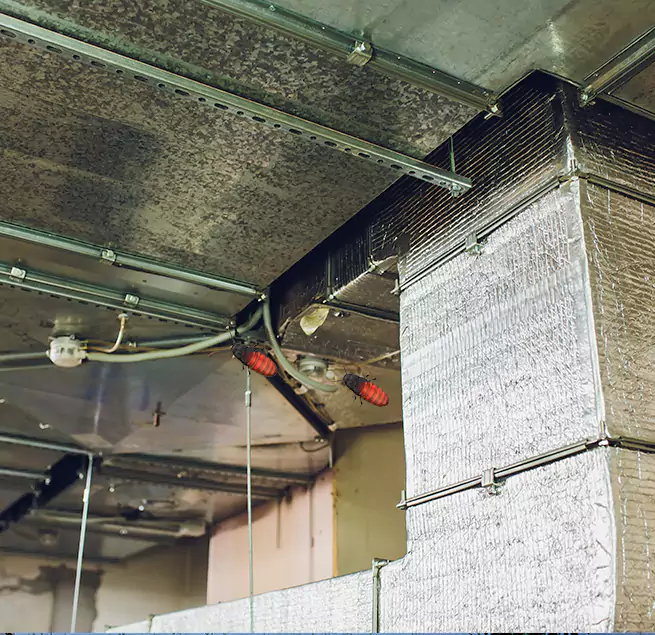 Why Homeowners & Businesses Trust Us in Painesville, OH?