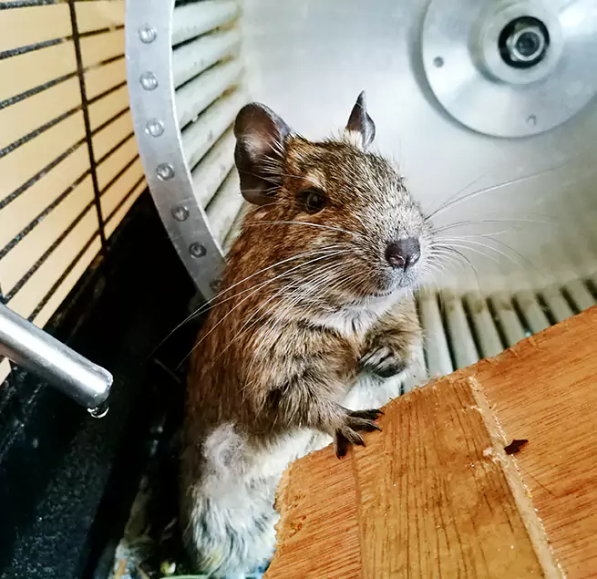 Why Homeowners & Businesses Trust Us Painesville, OH?